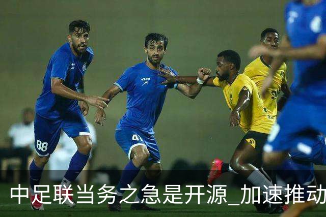 中足联当务之急是开源 加速推动中国足球职业化